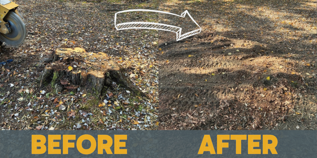 Shows a stump in a before image and the smooth ground in the after image